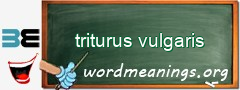 WordMeaning blackboard for triturus vulgaris